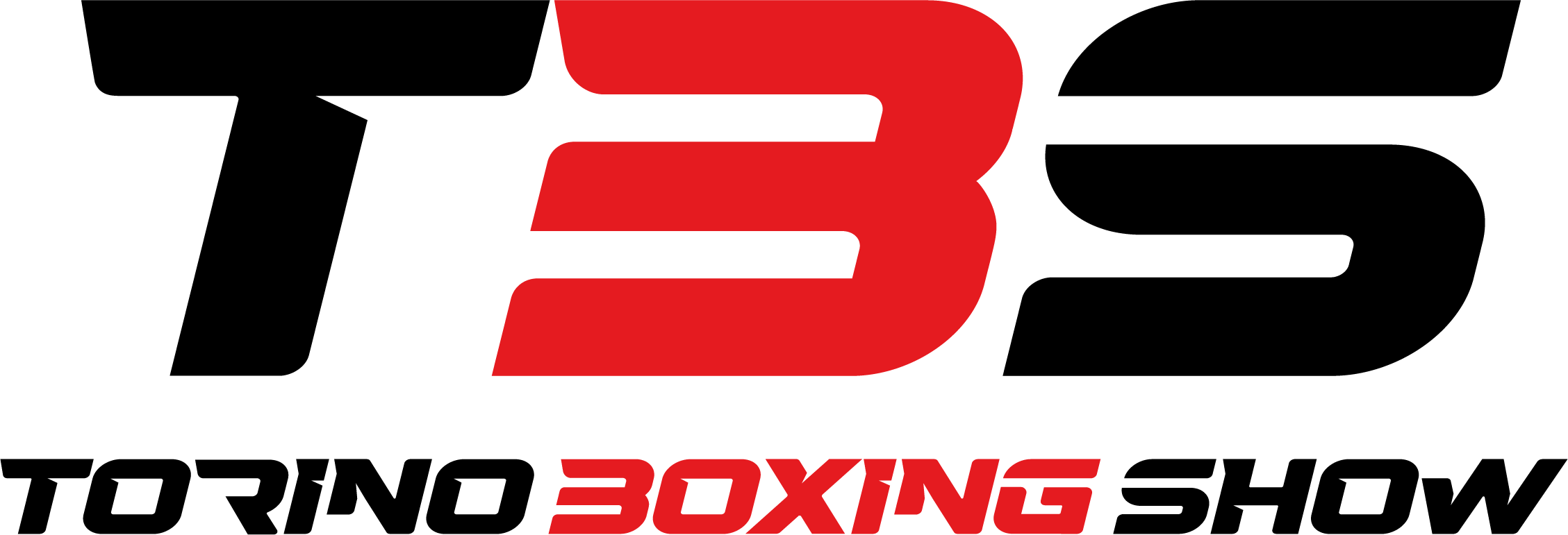 Torino Boxing Show